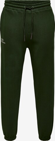 Tapered Pantaloni di Only & Sons in verde: frontale