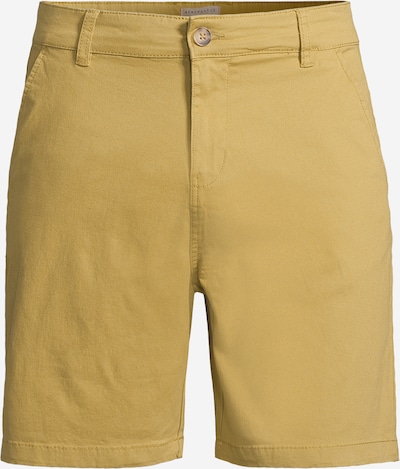 AÉROPOSTALE Chino trousers in Mustard, Item view