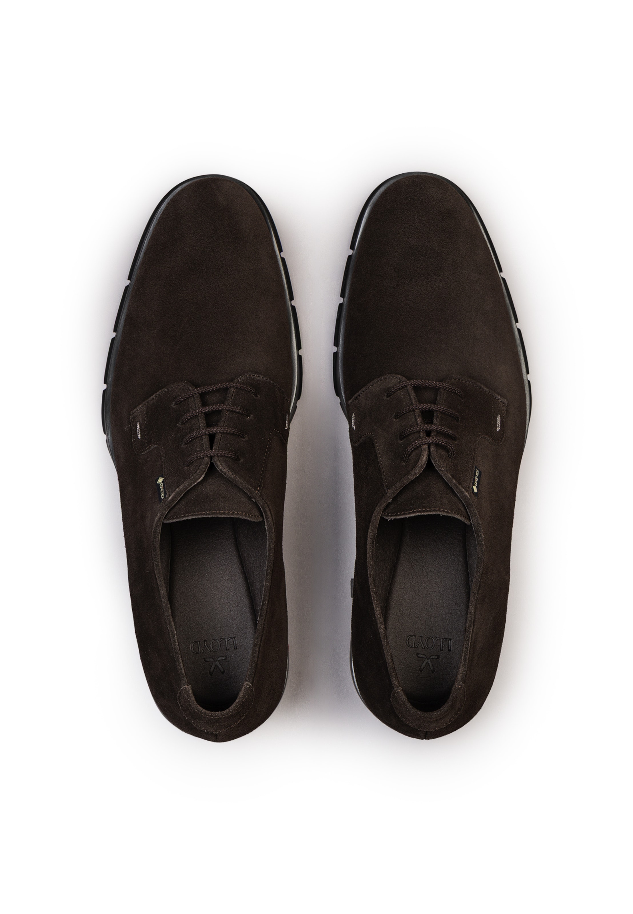 Scarpa stringata di LLOYD in marrone