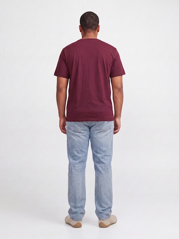 T-Shirt 'JORFREDERIKSBERG' Jack & Jones Plus en marron