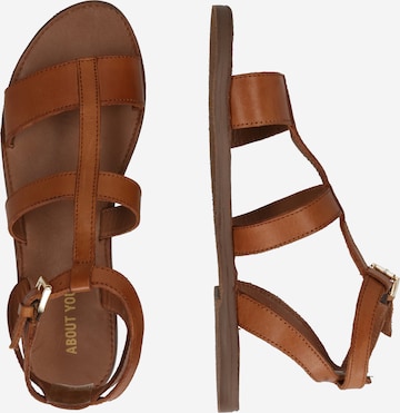 ABOUT YOU Sandalen met riem 'Malou' in Bruin