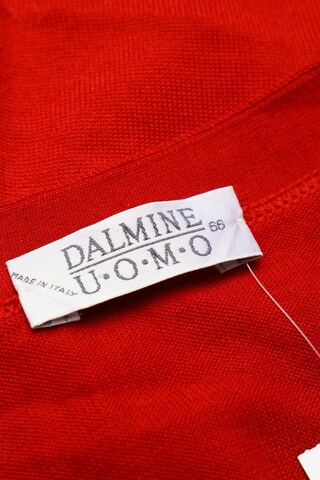 DALMINE UOMO Sweater & Cardigan in 4XL in Red
