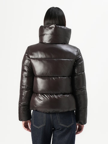 Veste d’hiver 'ISLA' SAVE THE DUCK en marron