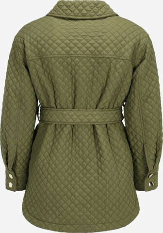 Dorothy Perkins Petite Tussenjas in Groen