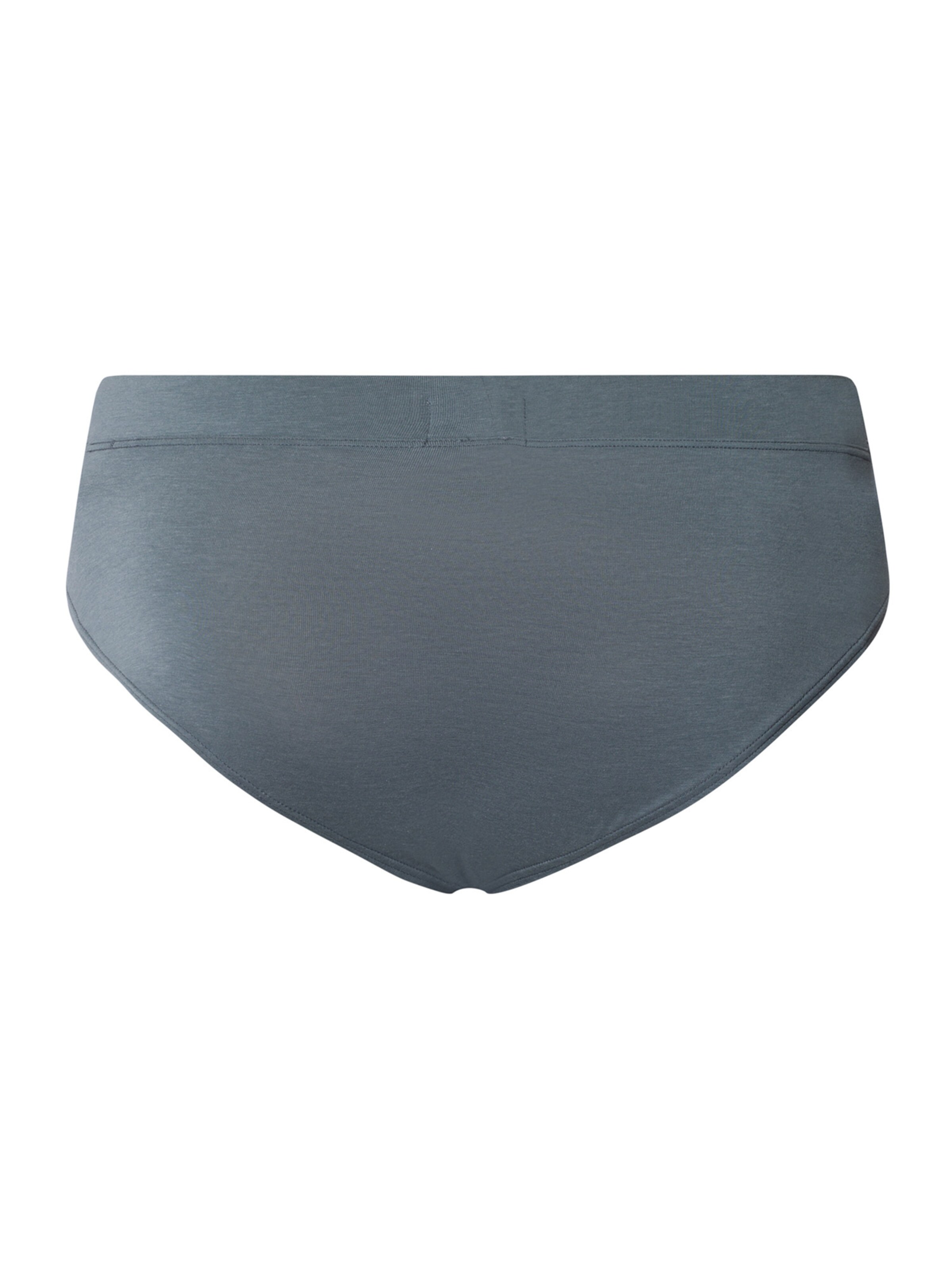 Hanro Panty 'Natural Function' in Grey