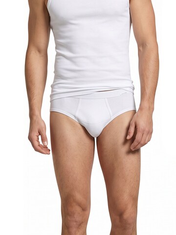 Ammann Panty 'Feinripp Premium' in Brown