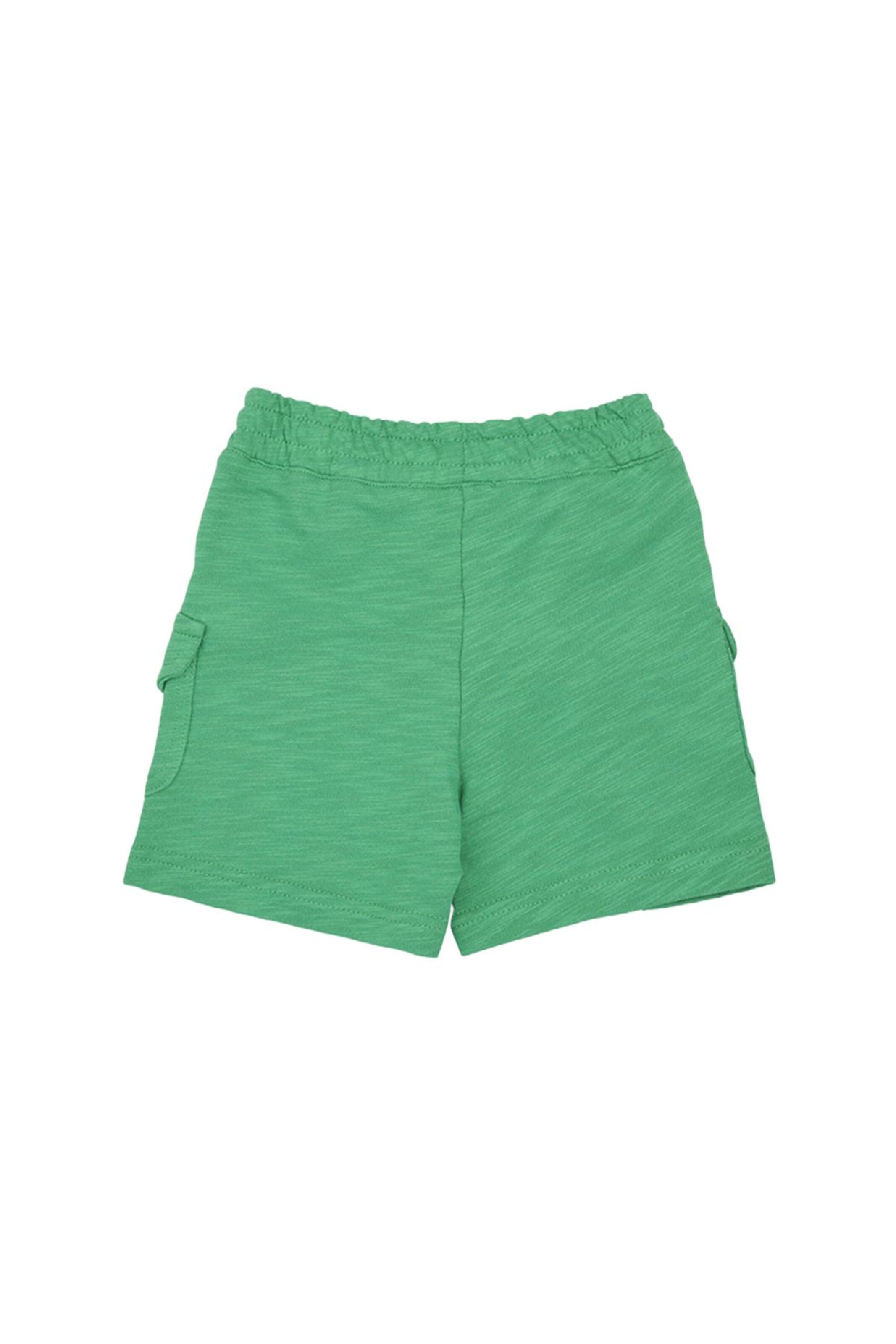 Panço Regular Pants in Green