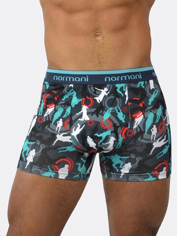 normani Boxer shorts in Grey: front