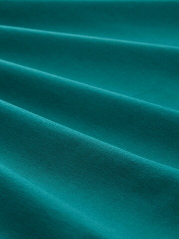 TOM TAILOR DENIM Shirt in Groen