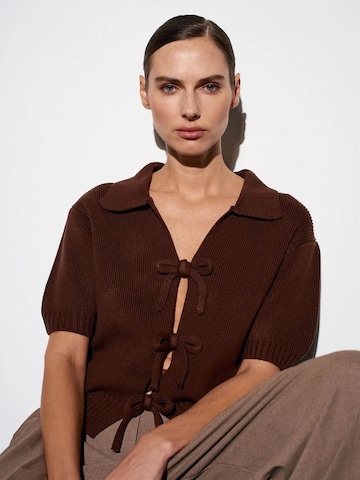 Pullover 'Pullover' di Dilvin in marrone: frontale