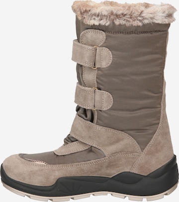 PRIMIGI Škornji za v sneg | siva barva