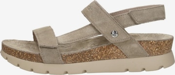 PANAMA JACK Sandale 'Selma' in Grau: Vorderseite