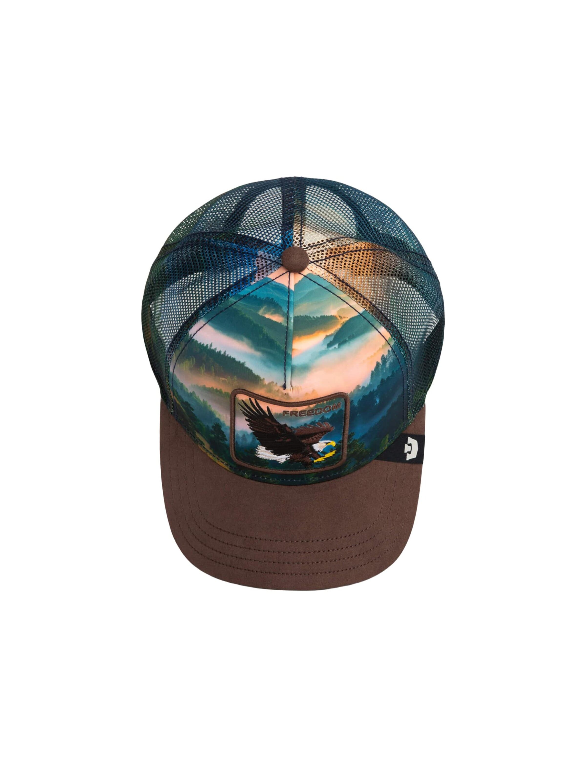 GOORIN Bros. Cap 'Eagle In The Element'‌‌ in Mischfarben