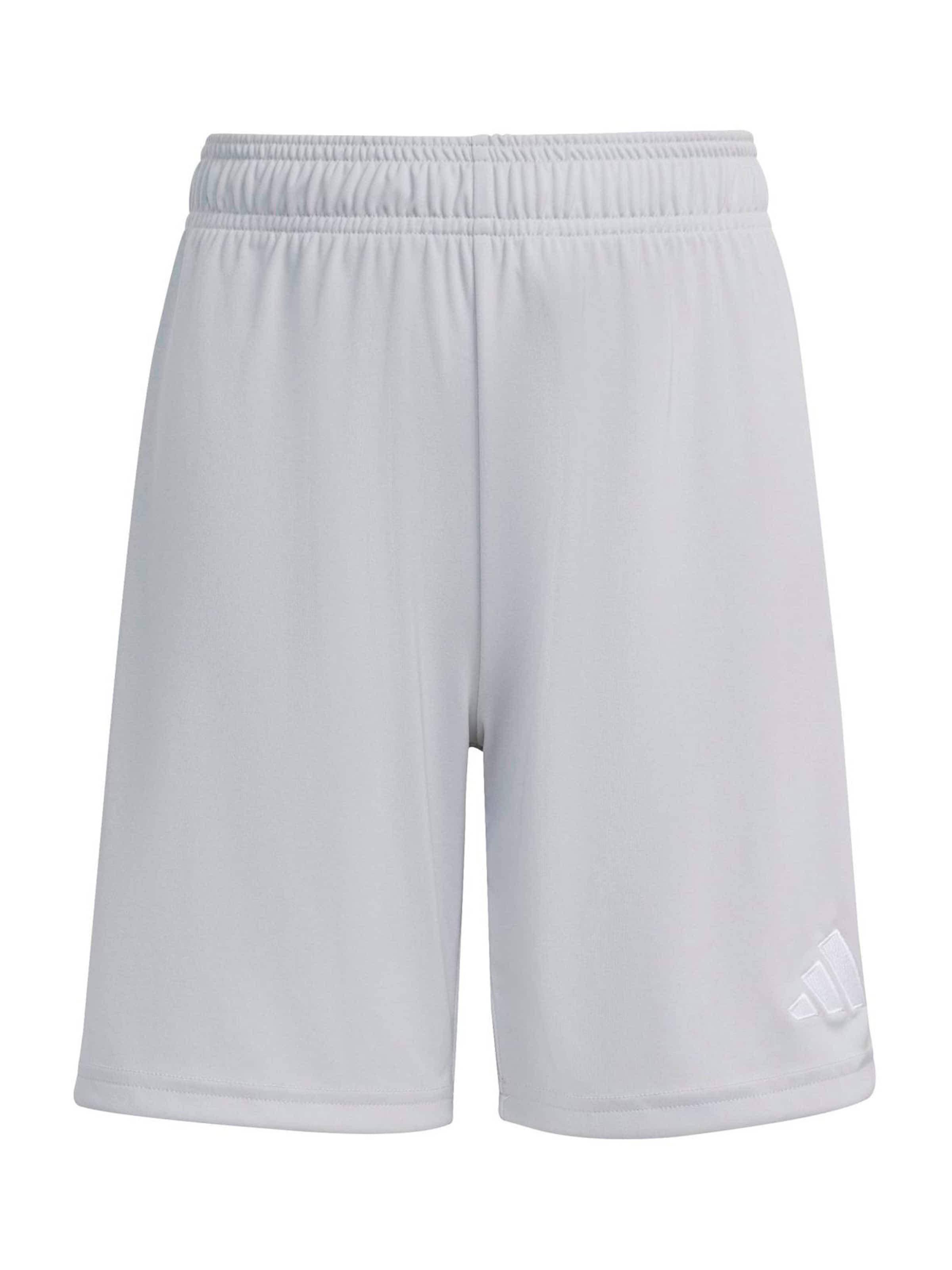 ADIDAS PERFORMANCE - regular Pantalón deportivo 'ENT26' en gris: frente