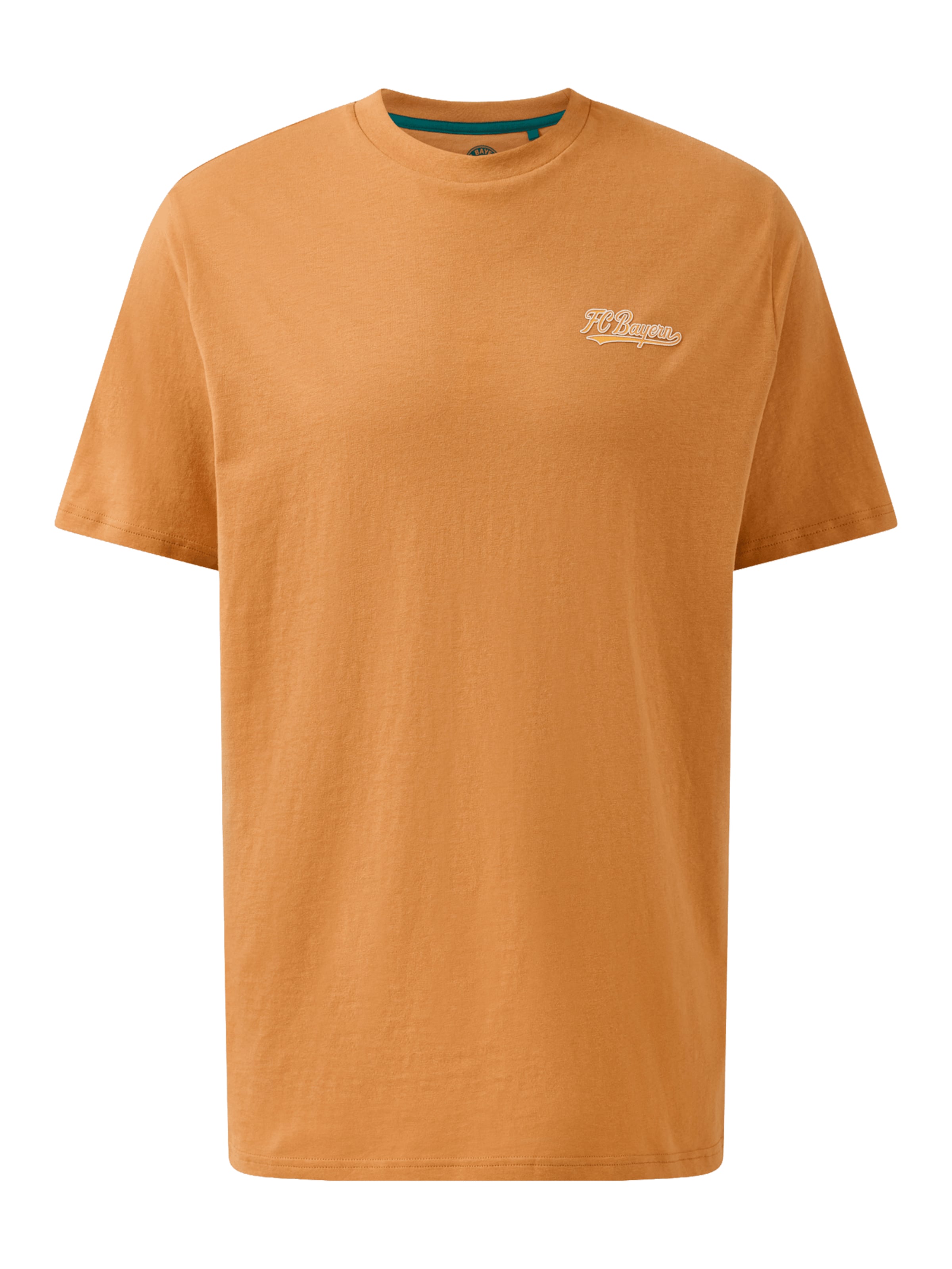 FC BAYERN MÜNCHEN Shirt in Brown: front