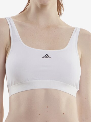 ADIDAS SPORTSWEAR Bralette Sports Bra ' Sport Solid Cotton ' in White: front