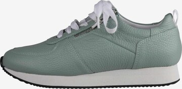 Lei by tessamino Sneakers laag 'Nadja' in Groen