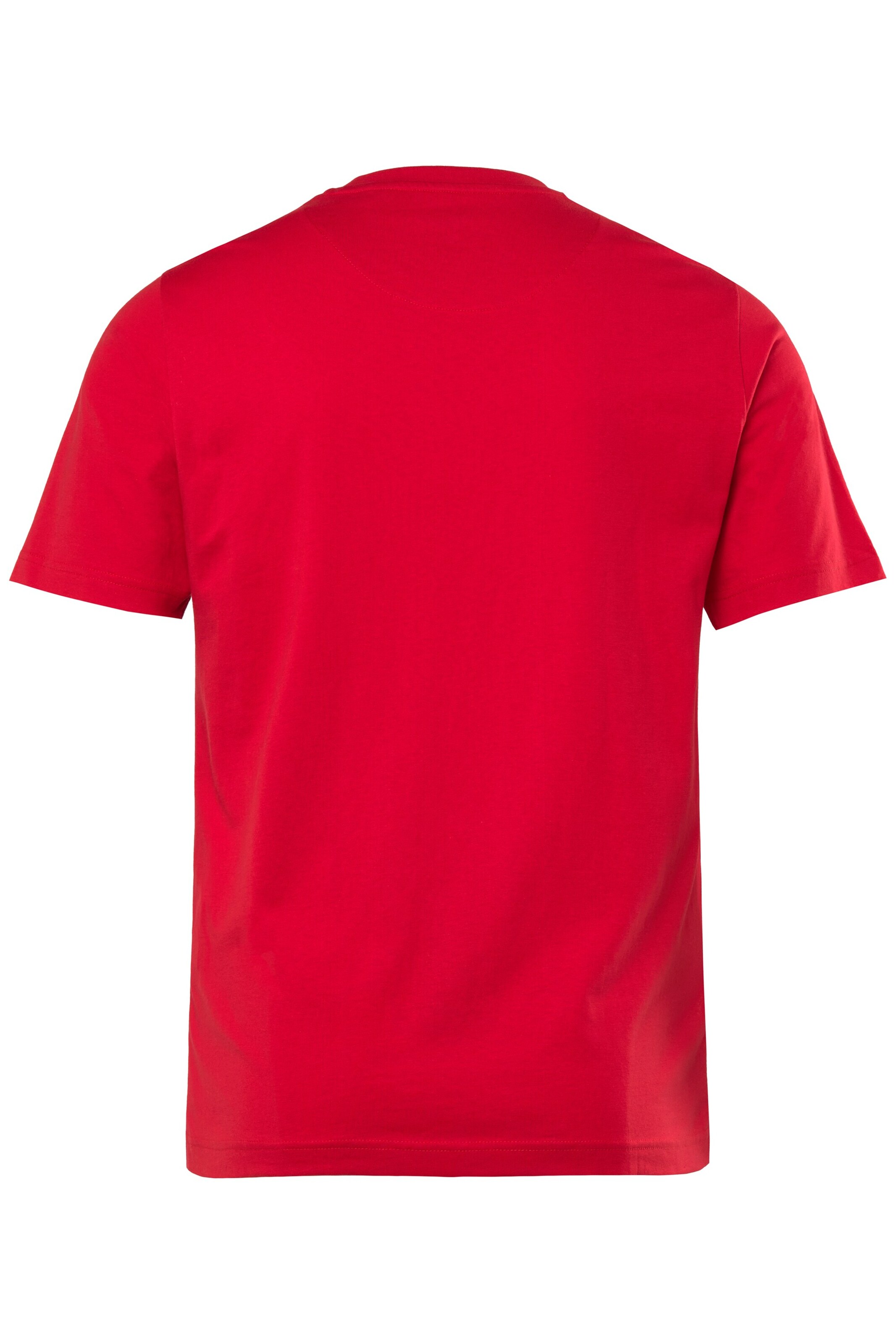 Men Plus Shirt in Rot