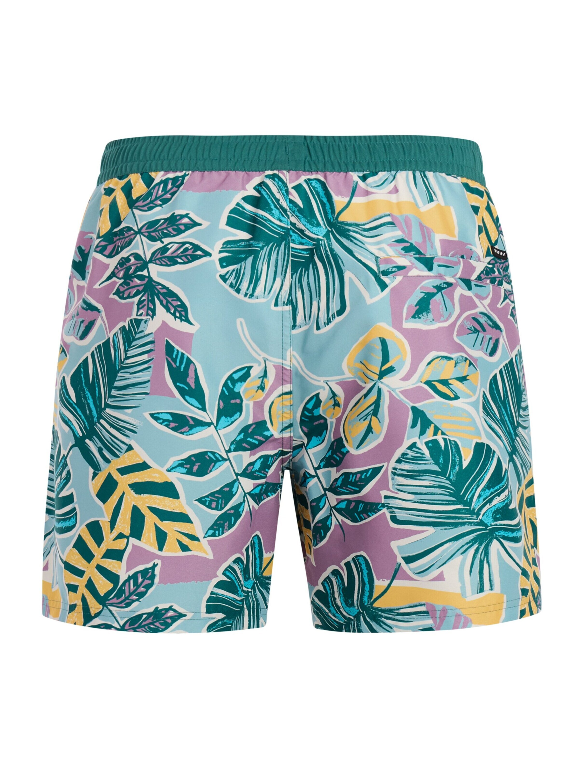 PROTEST Board Shorts 'PRTRayger' in Purple