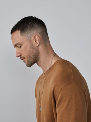 DAN FOX APPAREL Pullover 'James' in Braun