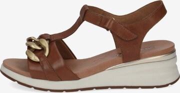 CAPRICE Sandals in Brown