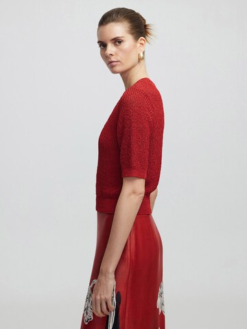 Ipekyol Trui in Rood