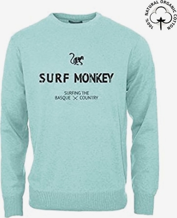 Surf Monkey Sweatshirt in Blue: front