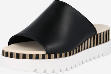 GABOR Mules 'Nappa' in Black: front