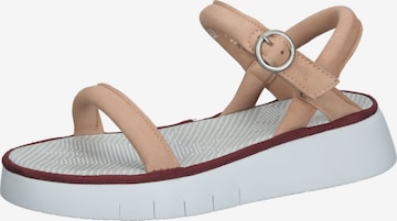 FLY LONDON Sandalen met riem in Beige: voorkant