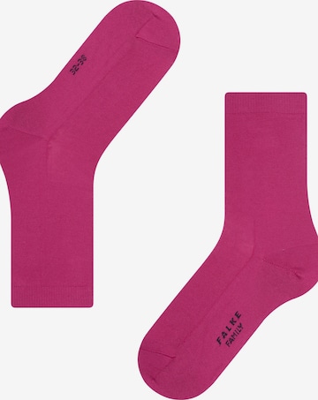 FALKE Socks 'Family' in Purple: front