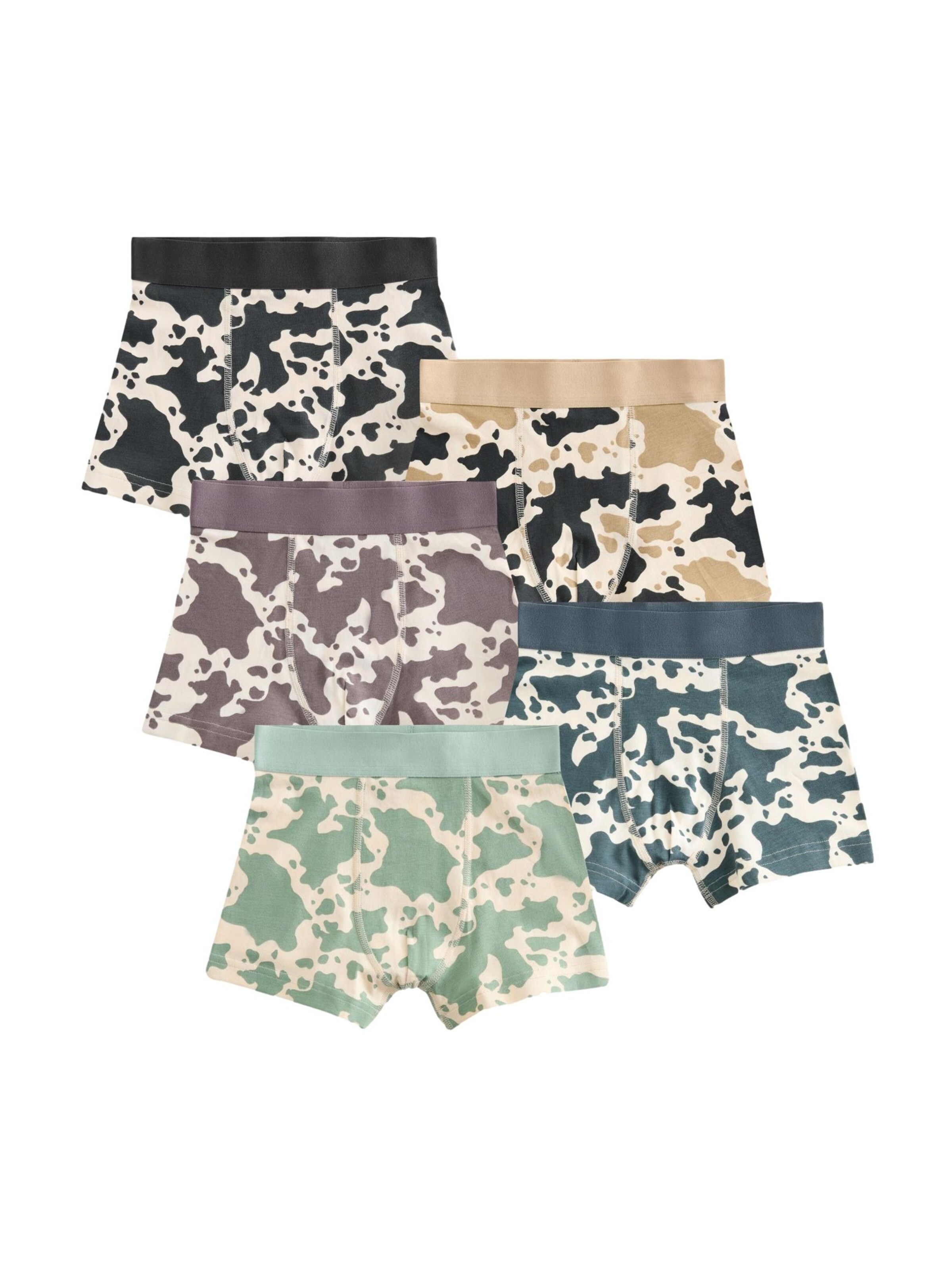Next Boxershorts in Beige: Vorderseite