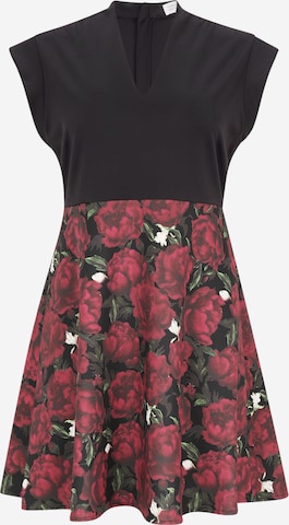 Guido Maria Kretschmer Curvy Mekko 'Paulina' värissä punainen: etupuoli