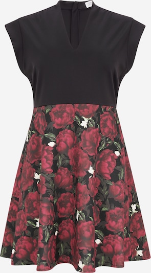 Guido Maria Kretschmer Curvy Haljina 'Paulina' u zelena / crvena / crna / bijela, Pregled proizvoda