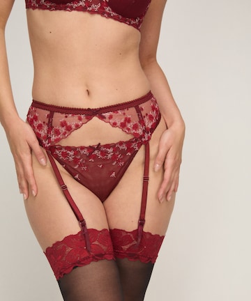 Hunkemöller Strumpfhalter 'Chloe' in Rot: Vorderseite
