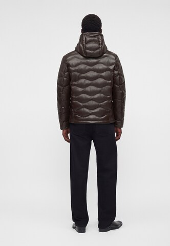 Blauer.USA Winter jacket in Brown