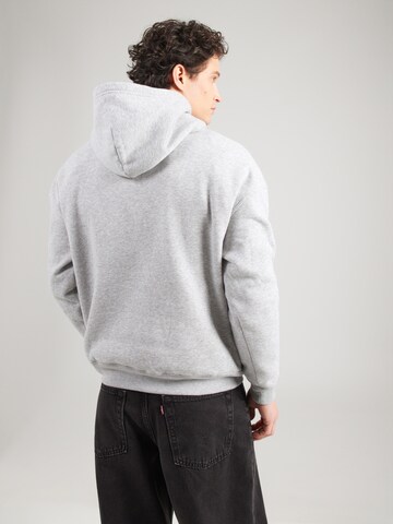 HOLLISTER Collegepaita värissä harmaa