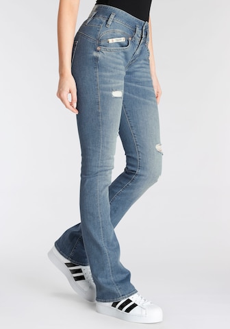 Herrlicher Bootcut Jeans in Blau