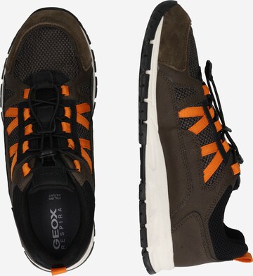 GEOX Sneakers laag 'U Delray A' in Groen