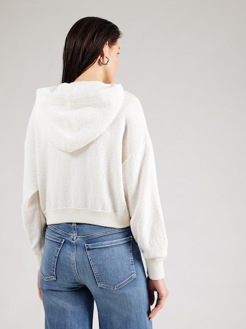 Calvin Klein Jeans Sweater in Beige: back