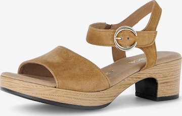 Sandales GABOR en marron : devant
