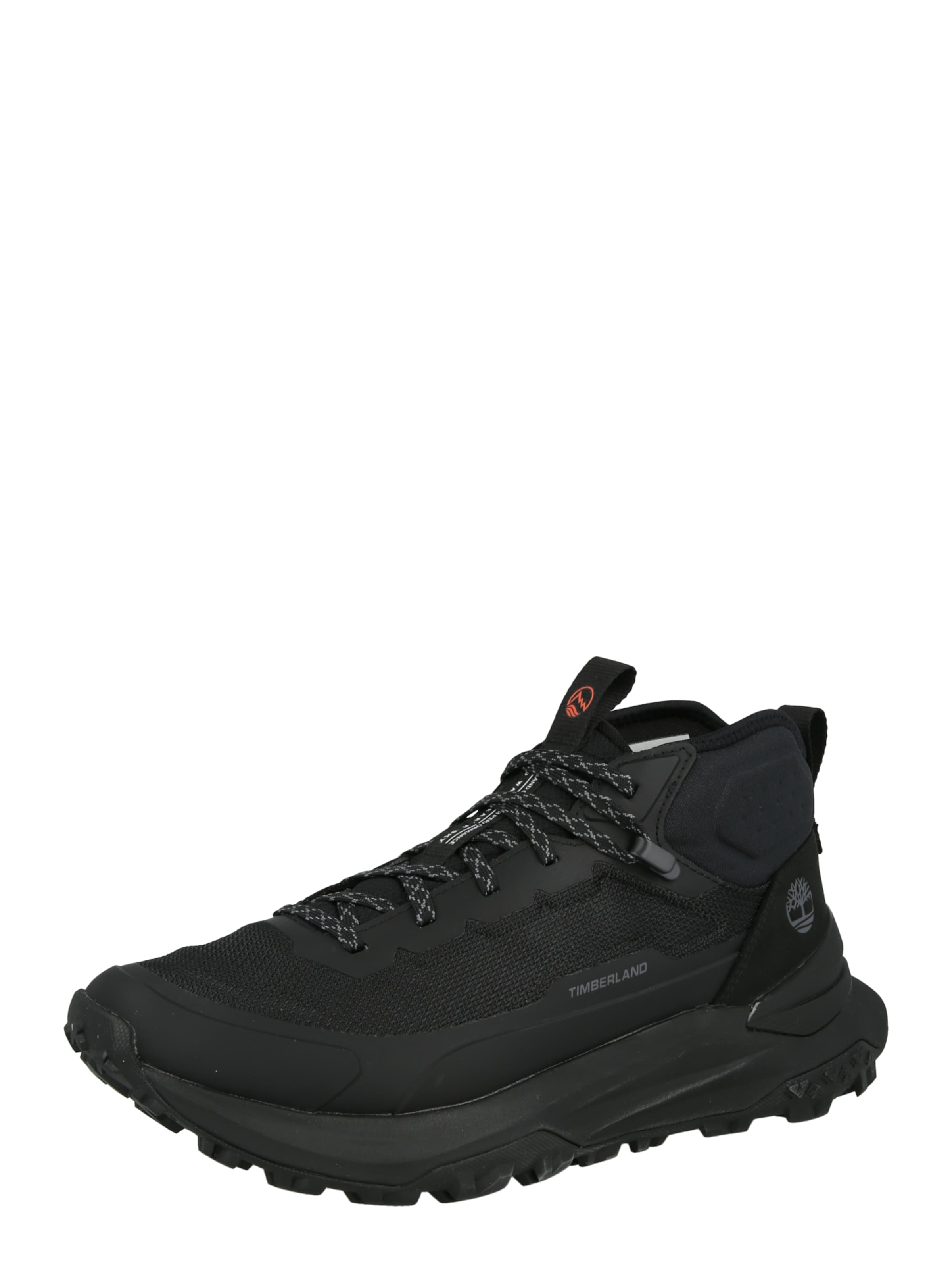 TIMBERLAND Låg sneaker i svart: framsida