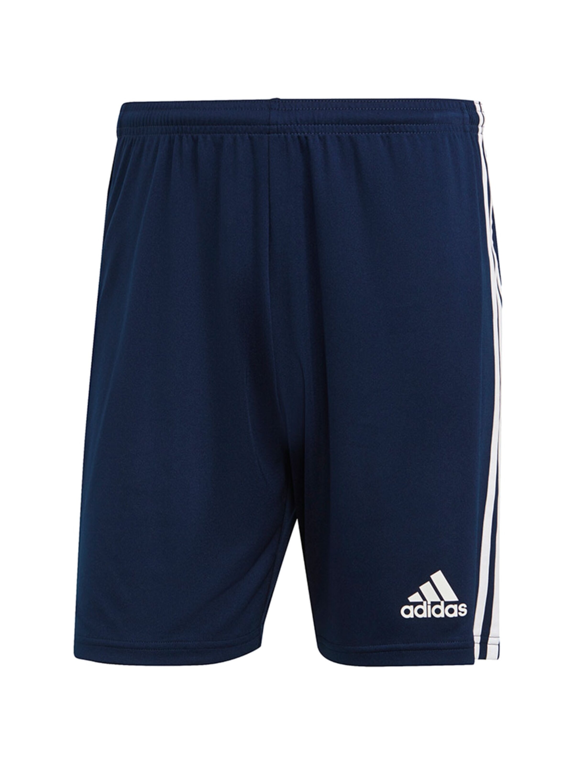 ADIDAS PERFORMANCE Regular Workout Pants 'Squadra 21' in Blue: front