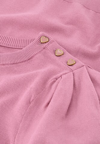 Fabienne Chapot Pullover in Pink