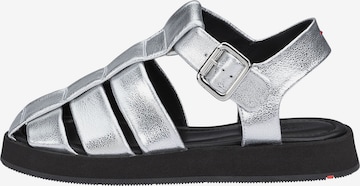 Sandalo di LLOYD in grigio: frontale