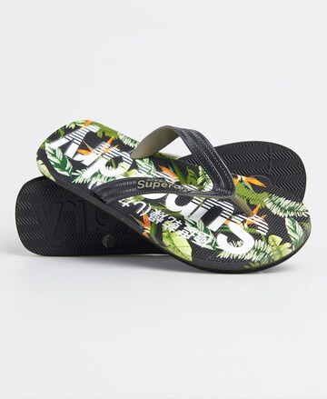 Superdry Teenslippers in Gemengde kleuren