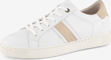 NoGRZ Sneakers in White: front