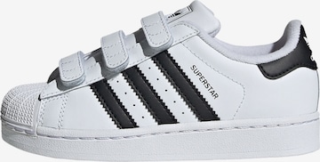 Baskets 'Superstar II' ADIDAS ORIGINALS en blanc : devant