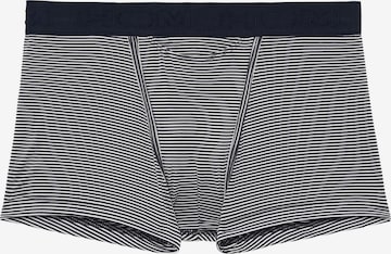 HOM Boxer shorts 'HO1 Simon' in Blue: front