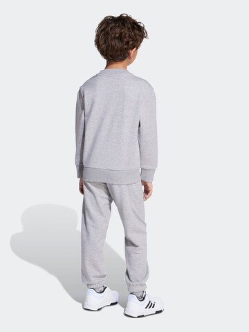 ADIDAS SPORTSWEAR Treenipuku värissä harmaa