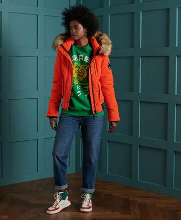 Veste d’hiver 'EVEREST BOMBER' Superdry en orange